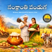Sankranthi Celebrations Ibrahimpatnam