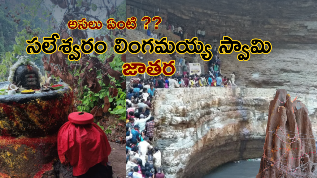 అసలు ఏంటి ఈ సలేశ్వరం లింగమయ్య స్వామి జాతర? అసలు ఏముంది అక్కడ?