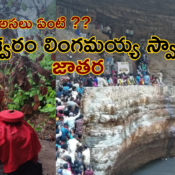 సలేశ్వరం లింగమయ్య స్వామి జాతర