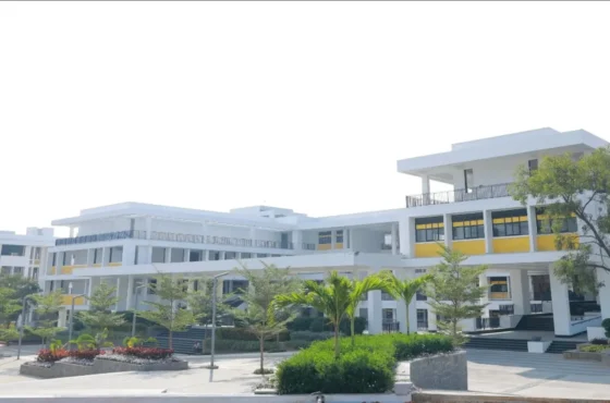 AVN lakefield global school
